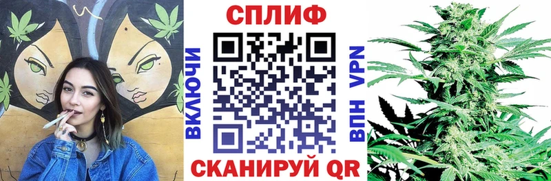 Купить где  Светлый  Бошки Шишки сатива 